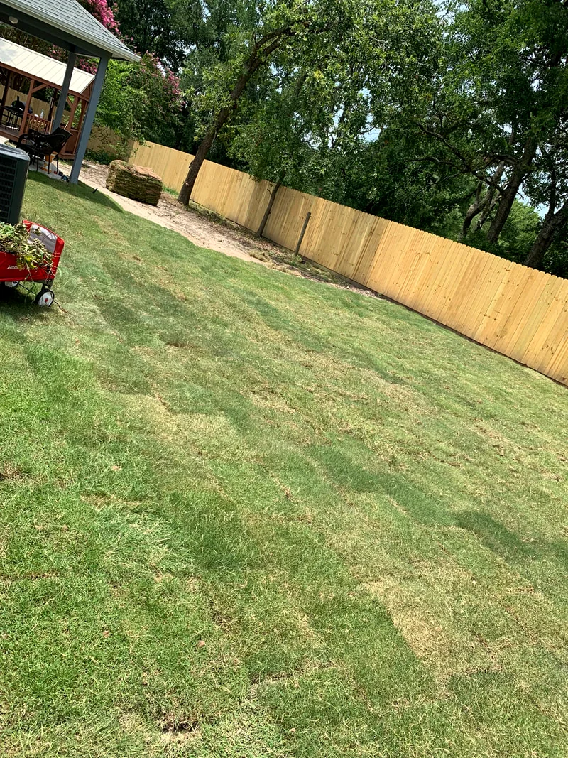 Freshly mowed lawn with crisp stripe pattern along a fence