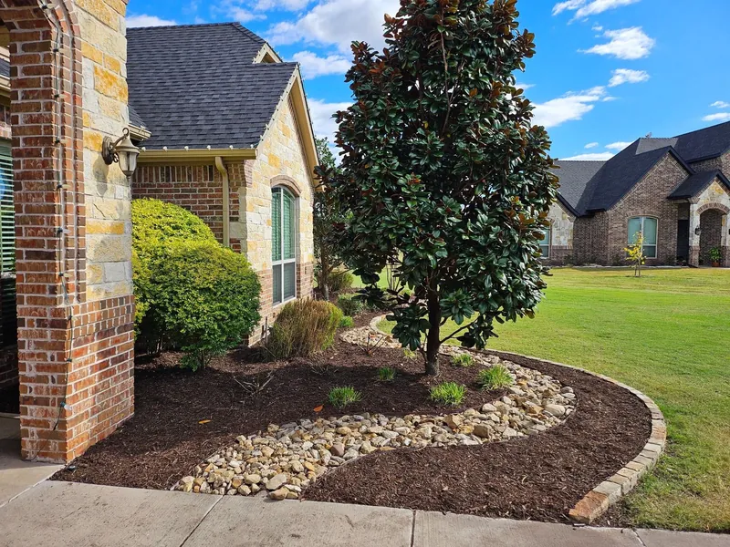 Finished landscaping bed with a magnolia tree, mulch, and river rock border