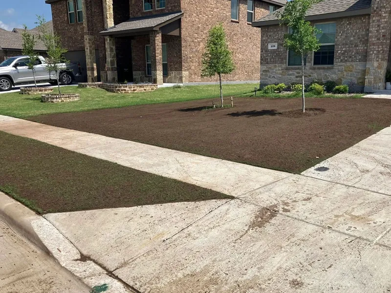 Freshly prepared planting bed with newly planted trees in a front yard