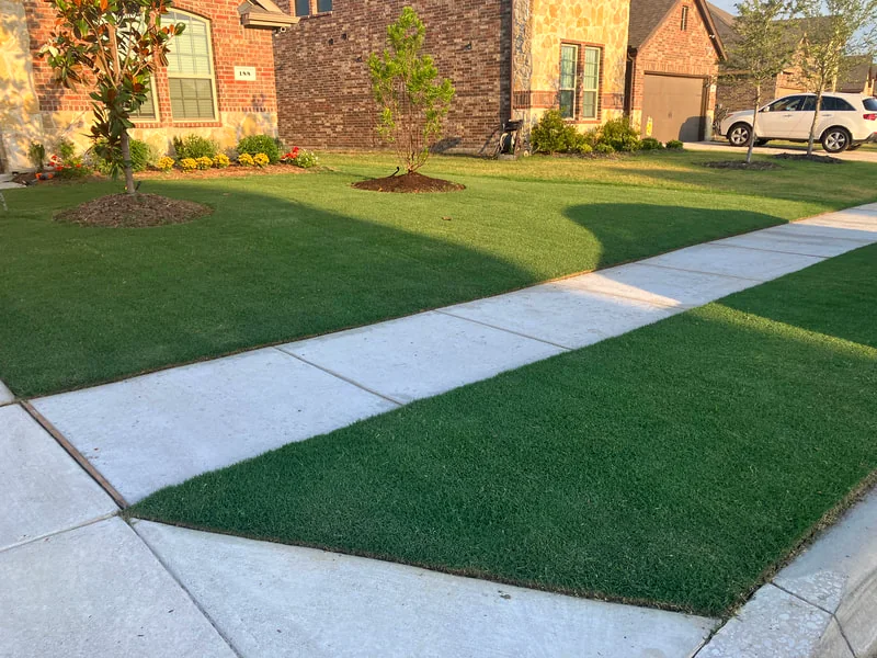 Crisp mower edge along a concrete walkway