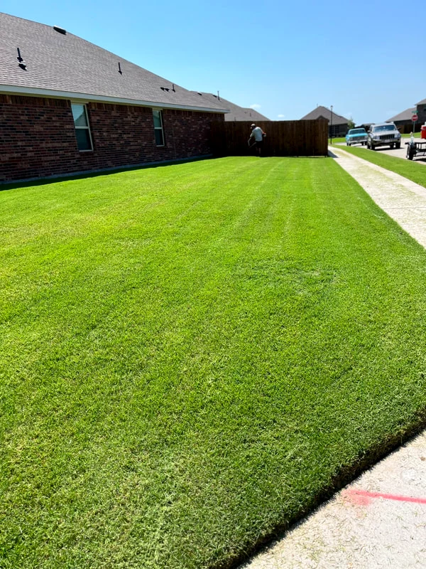A wide, freshly mowed open lawn