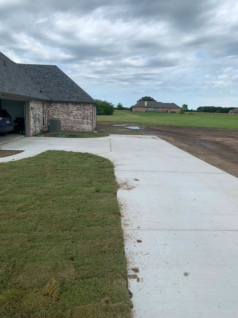 Fresh sod installation along a Greenville-area driveway