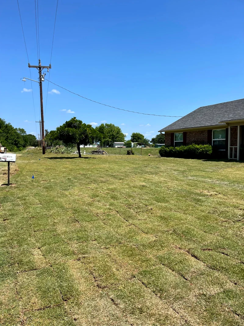 Wide view of a lush mowed lawn along the street